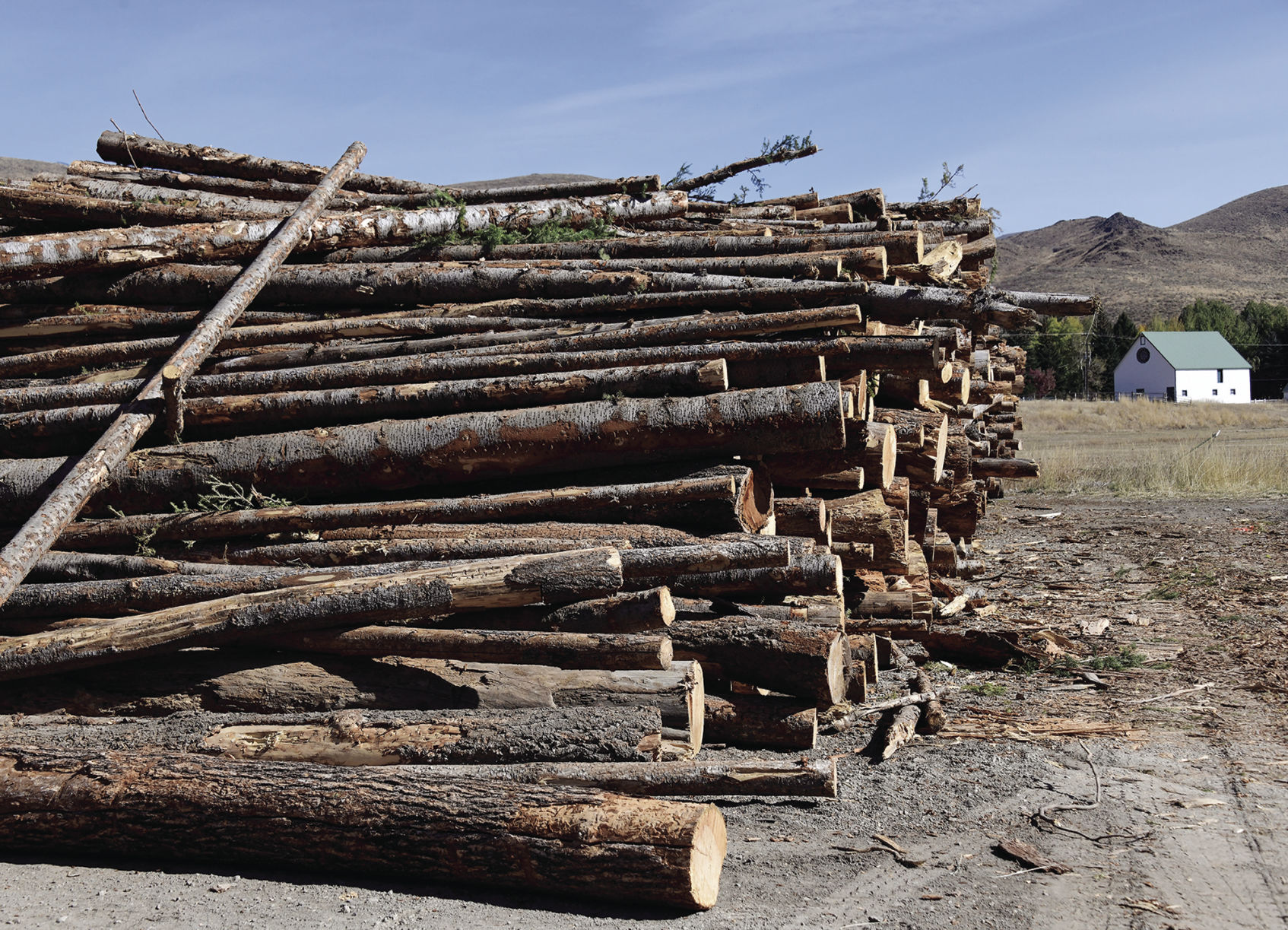 19-10-16 Baldy Logging 4 Roland.jpg